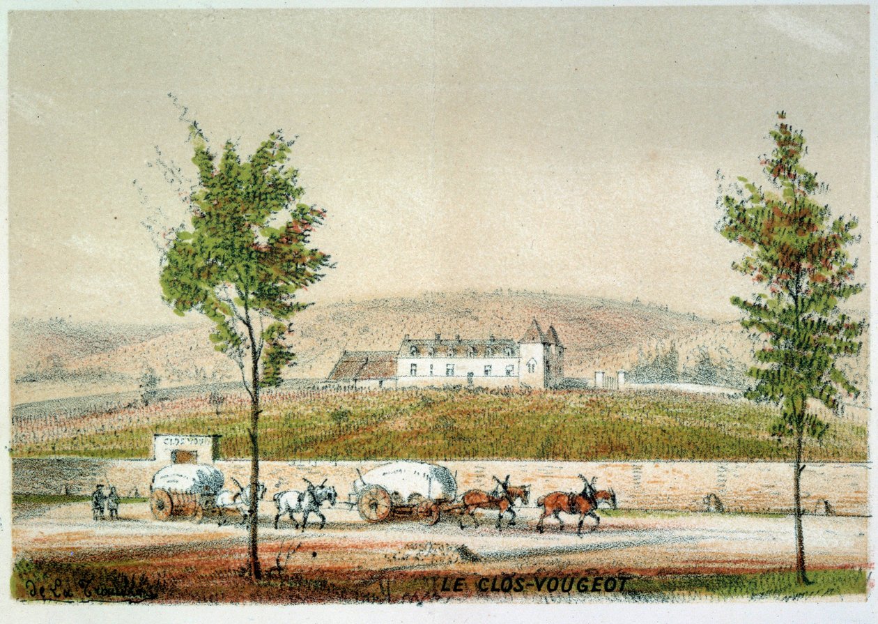 Le clos Vougeot, wijngaard van Cote d