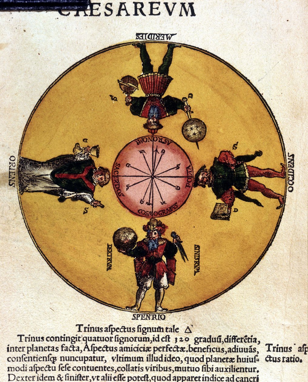Les antipodes - in "Astronomicon caesarum", verhandeling uit de 16e eeuw door Unknown artist
