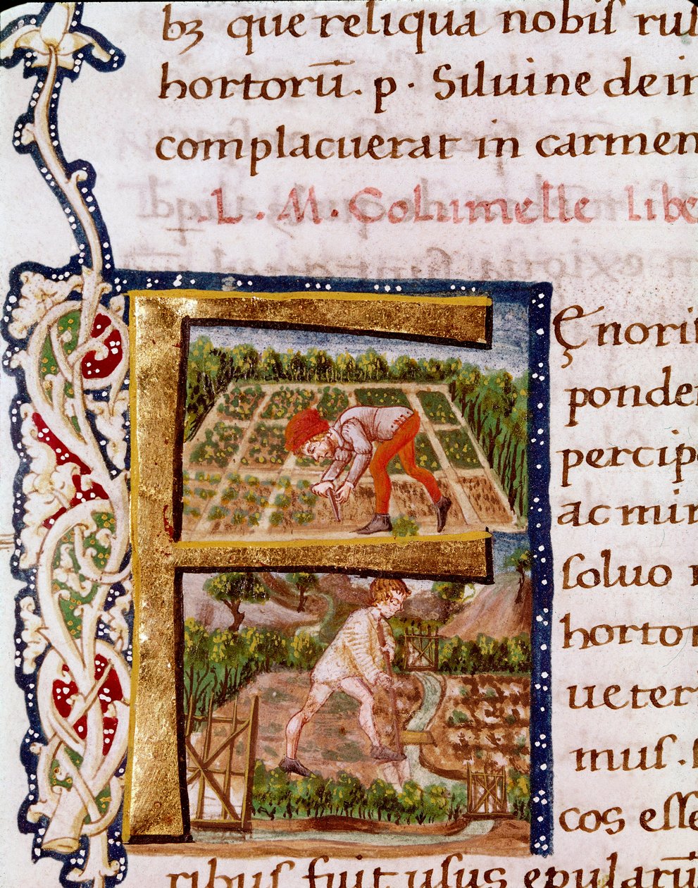 Lettrine F uit het hoofdstuk over tuinbouw: scènes van strandingen en irrigatie. Miniatuur uit “De re rustica” door de agronoom Lucius Iunius Moderatus Columella (1e eeuw) (Ms.E-39). 15e eeuw. Rome, Biblioteca Vallicelliana door Unknown artist