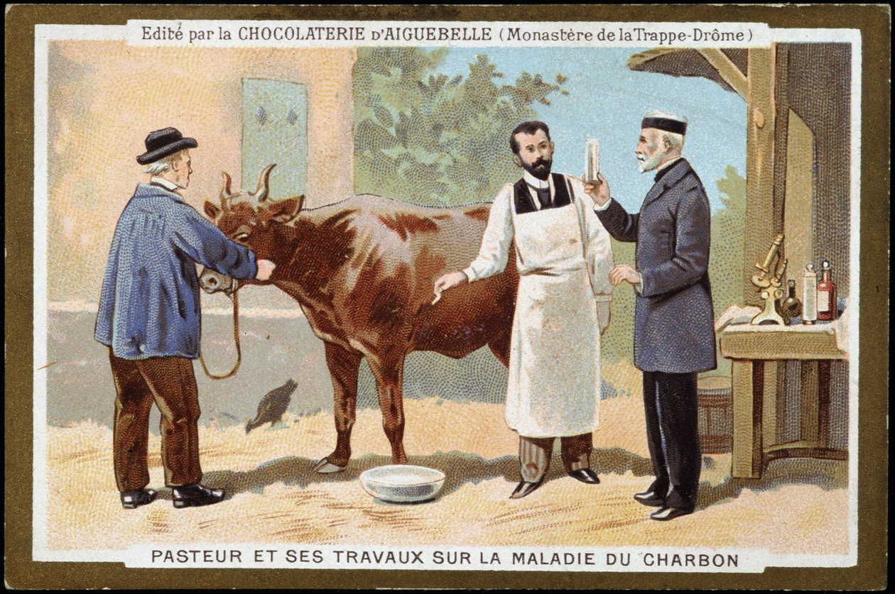 Louis Pasteur en zijn werk over miltvuur - reclame-etiket van Chocolats d