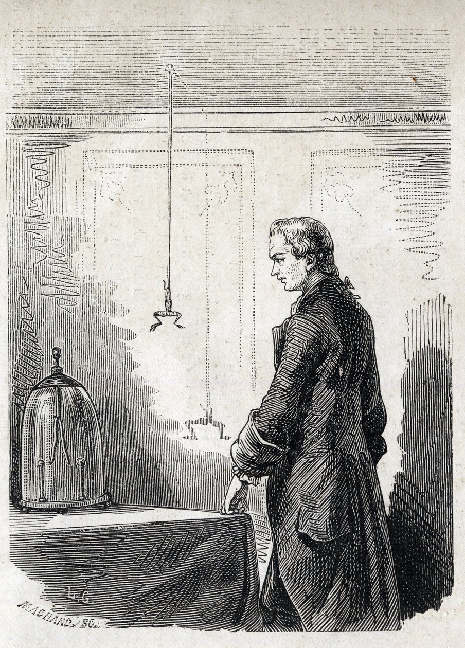 Luigi Galvani veroorzaakt samentrekkingen bij een kikker met elektriciteit van een bliksemafleider door Unknown artist