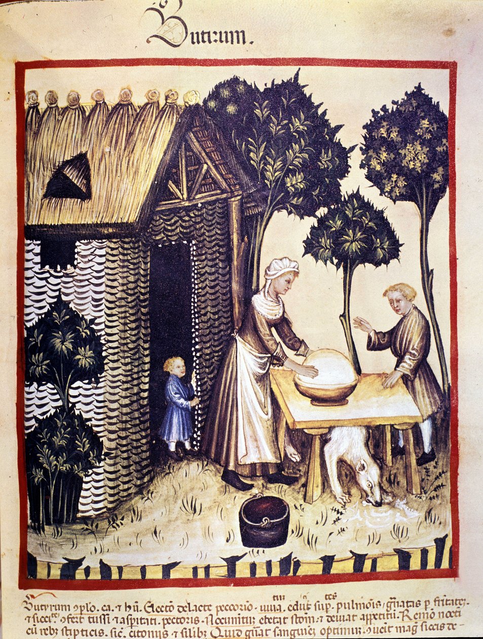 Boterproductie. Illustratie uit de melk van geneeskunde en diëtetiek "Tacuinum sanitatis" door Unknown artist