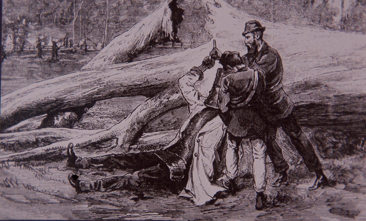 Ned Kelly gevangen door politieagent Kelly en spoorwegman Jesse Dowsett, 28 juni 1880 door Unknown artist