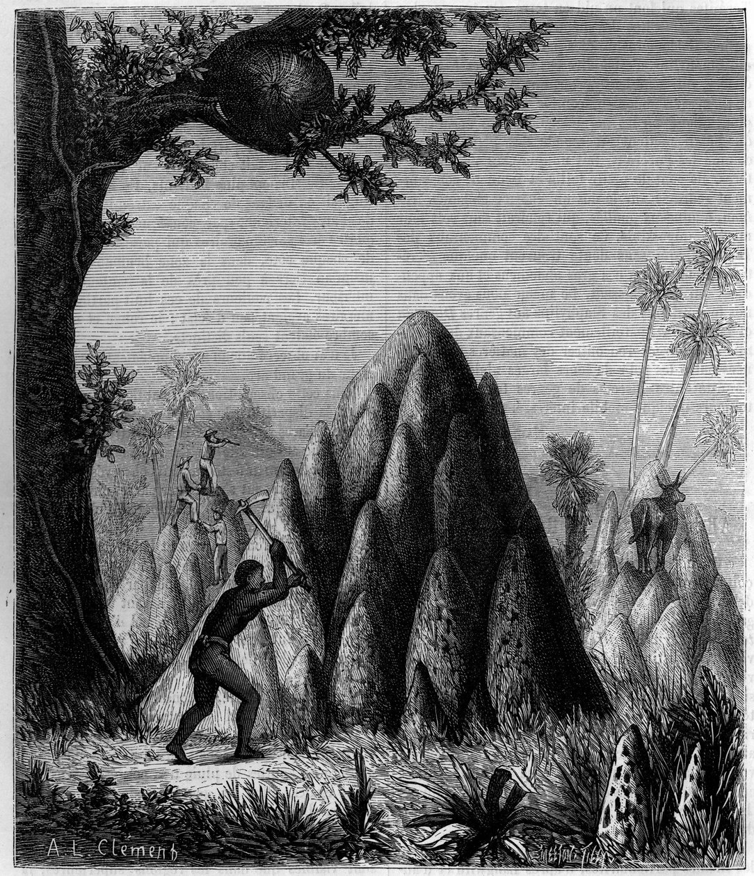 Nesten van de "Strijdlustige Termiet" en de "Boomtermiet" in Afrika. Gravure in "La Nature: revue des sciences et de leurs applications aux arts et a l