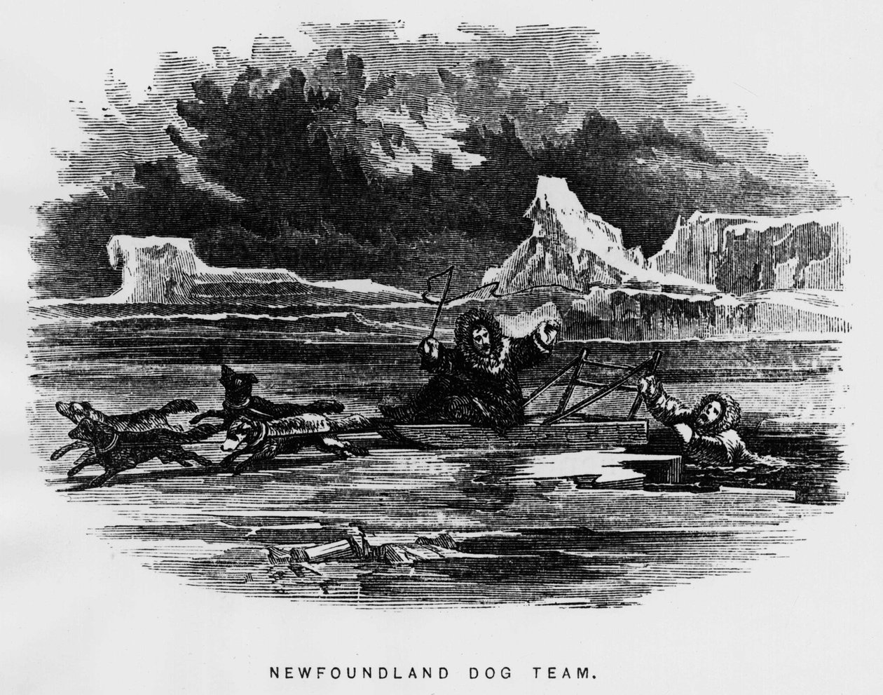 Noordpool: sledehond zweeft een man valt door het ijs - Elisha Kent Kane, Arctische Verkenningen in de jaren 1853-1855, Philadelphia, Childs en Peterson door Unknown artist