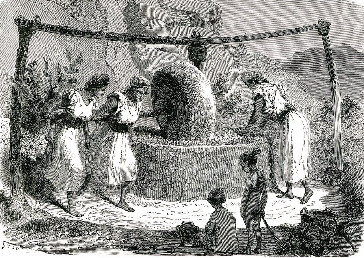 Olijvenmolen in Algerije 1885 door Unknown artist