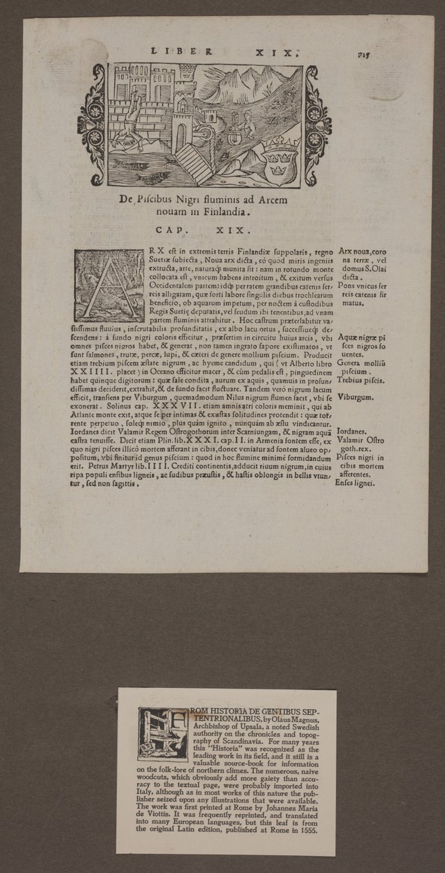 Pagina uit 