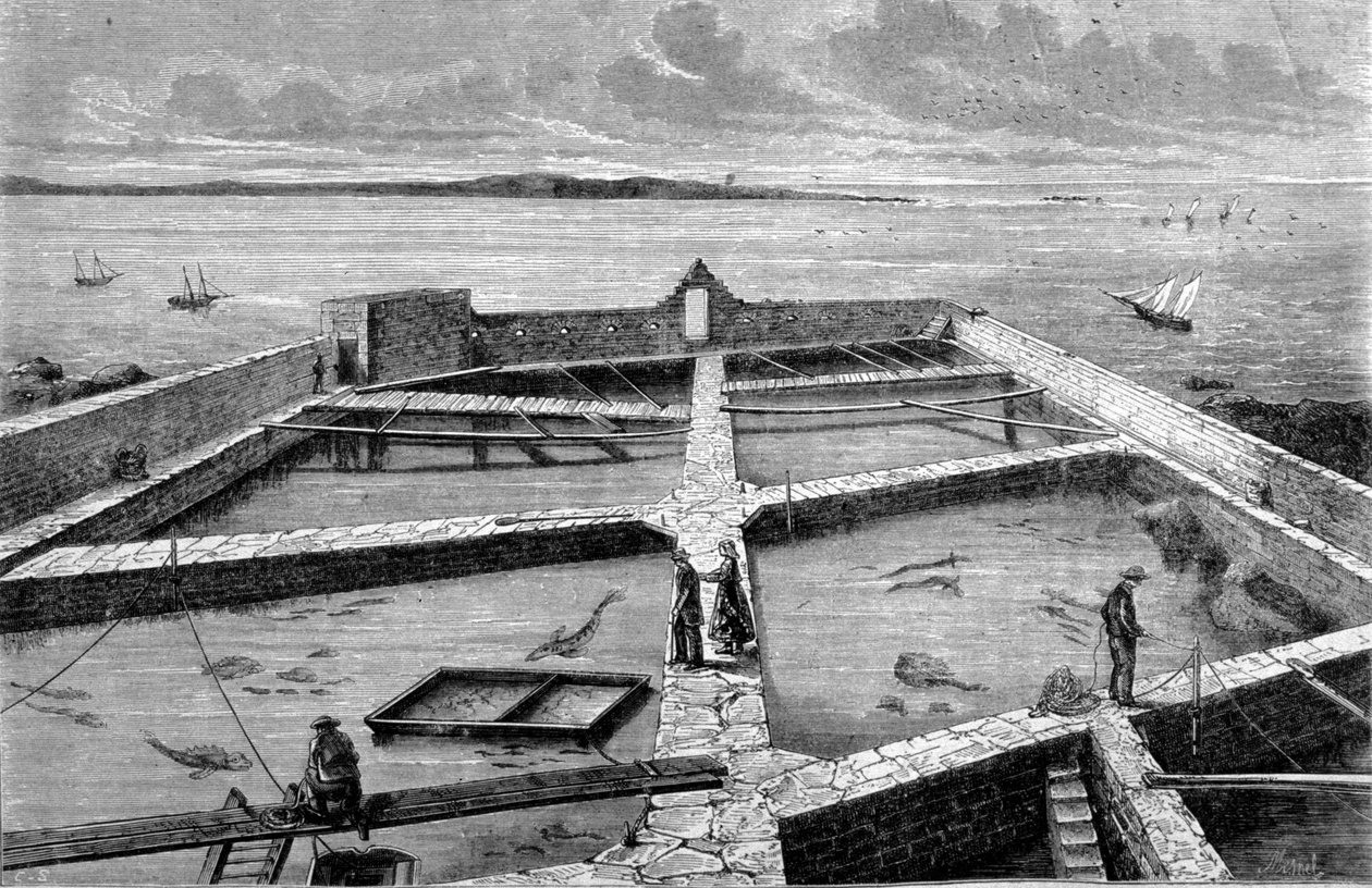 Visserij in Concarneau. Gravure uit 1860 door Unknown artist