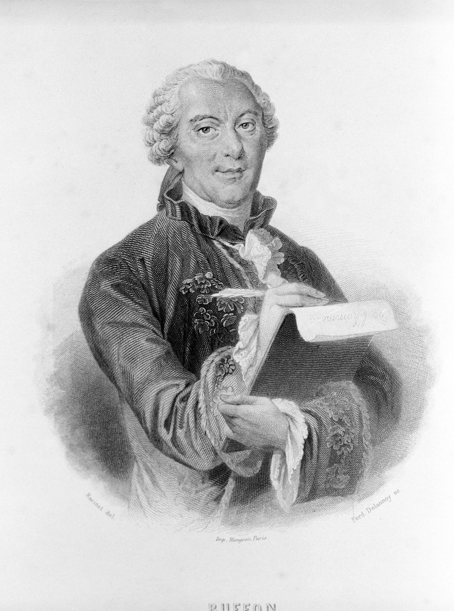 Portret van Buffon (1707 - 1788), Franse natuuronderzoeker en schrijver. door Unknown artist