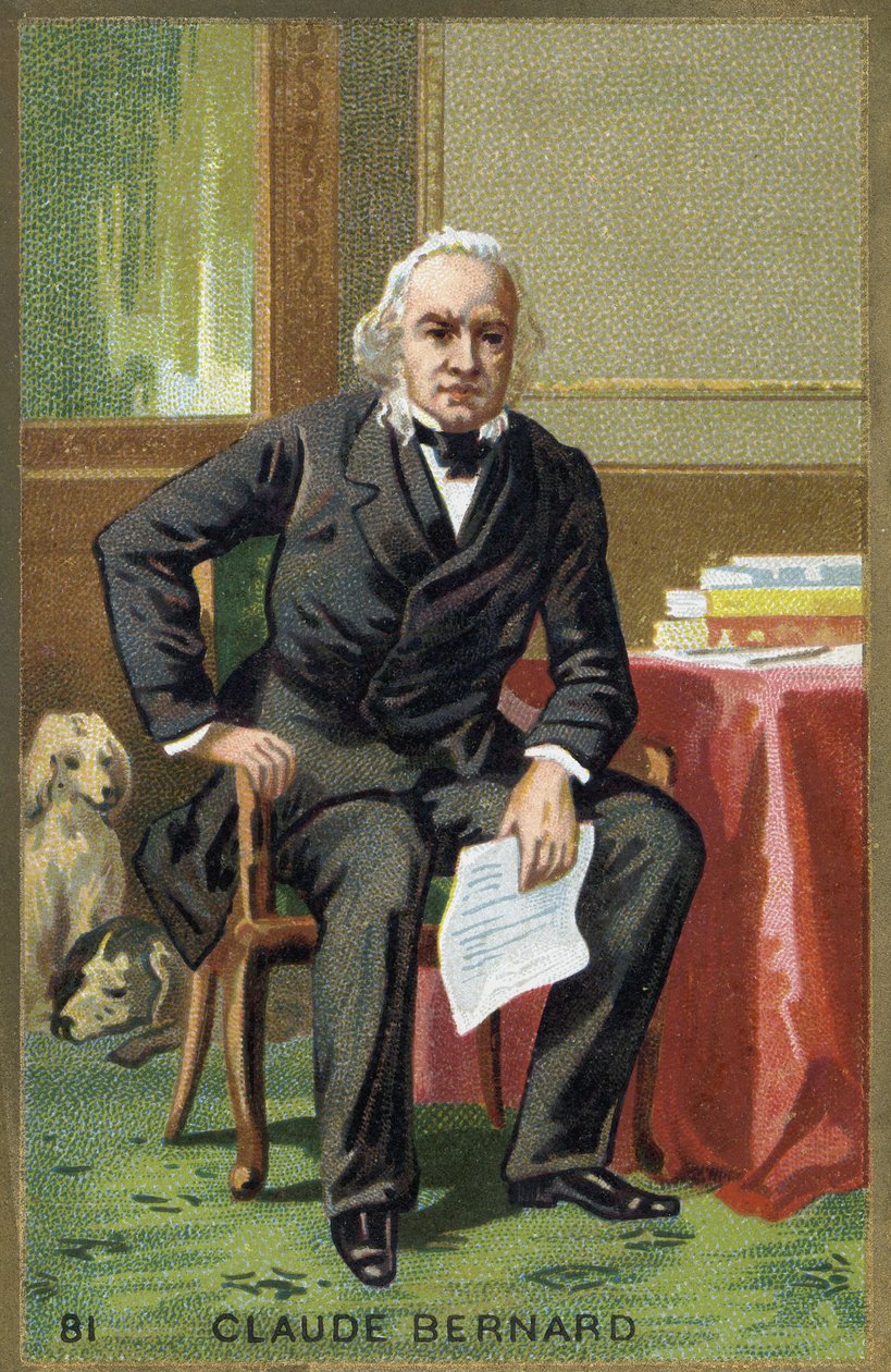 Portret van Claude Bernard (1813-1878), Franse fysioloog door Unknown artist