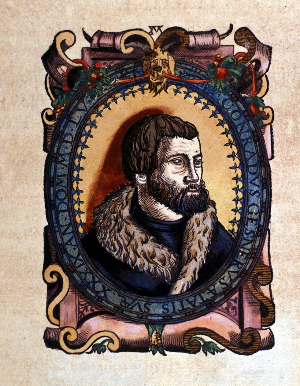 Portret van Conrad Gesner (1516 - 1565) arts uit Zürich na de Historia Animalium door Conrad Gesner, Tiguri 1560. Biblioteca nazionale Braidense. Milaan door Unknown artist