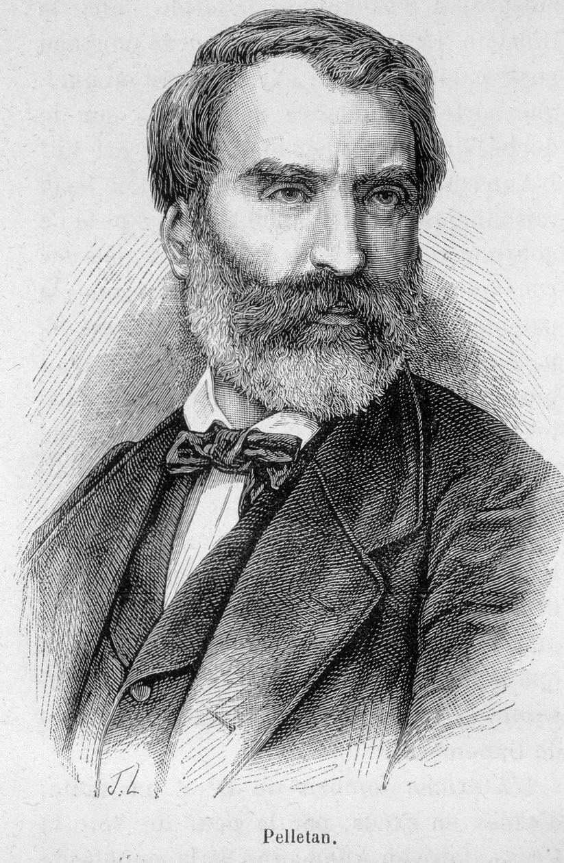 Portret van Eugene Pelletan (1813-1884), Franse journalist, schrijver en politicus door Unknown artist