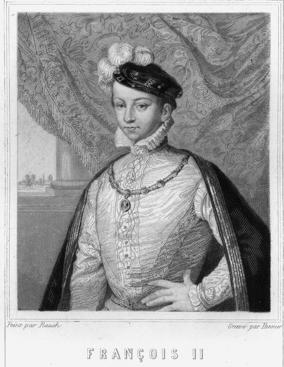 Portret van Francois II (1544 - 1560), Koning van Frankrijk - in 