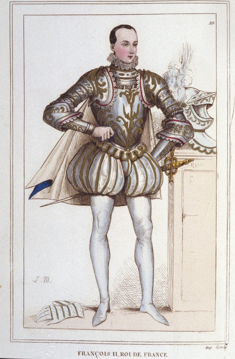 Portret van Francois II (1544 - 1560), Koning van Frankrijk gravure uit 1830 door Unknown artist