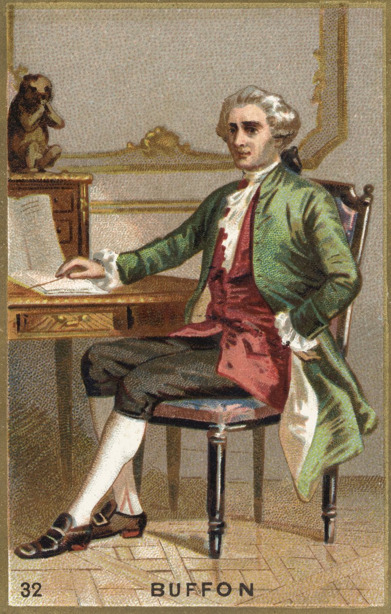 Portret van Georges Louis Leclerc, Graaf van Buffon (1707 - 1788), Franse natuuronderzoeker en schrijver door Unknown artist
