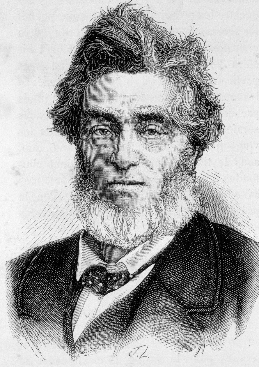 Portret van Jules Favre (1809 -1880), Franse politicus door Unknown artist
