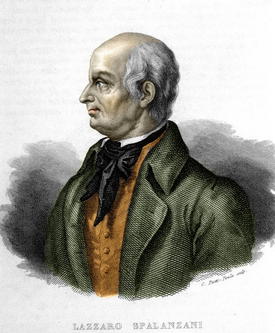 Portret van Lazzaro Spalanzani, Italiaanse bioloog (1729 - 1799) door Unknown artist