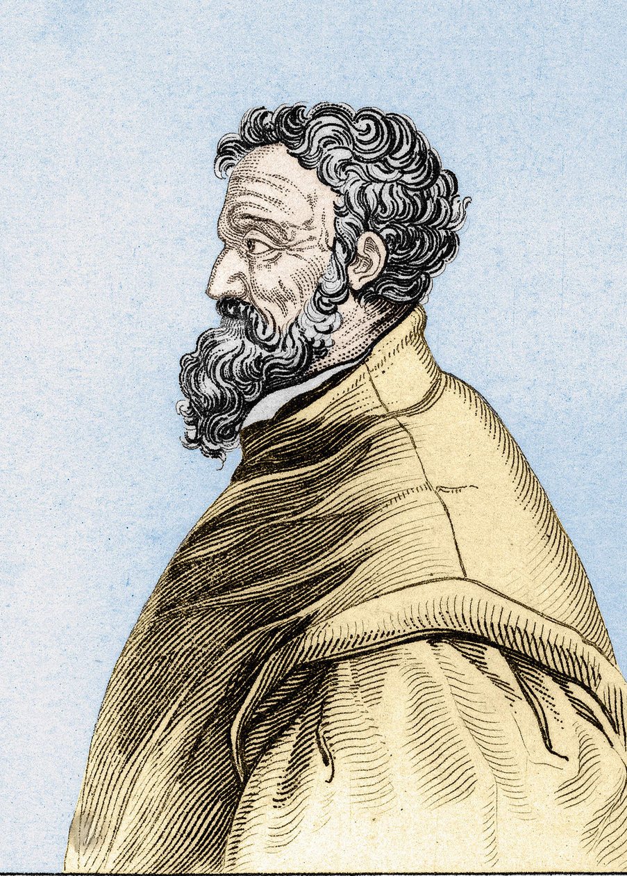 Portret van Michelangelo Buonarroti, genaamd Michelangelo door Unknown artist