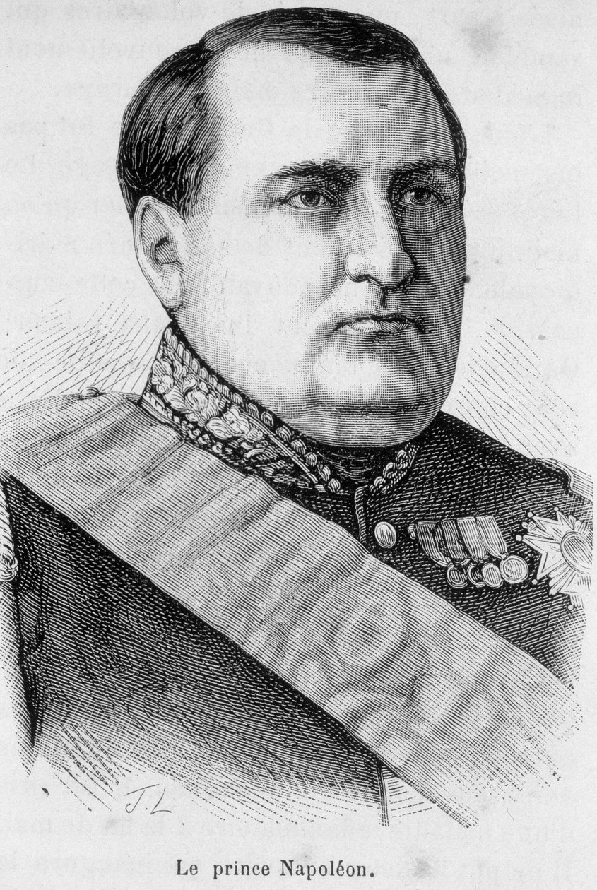 Portret van Prins Napoleon door Unknown artist