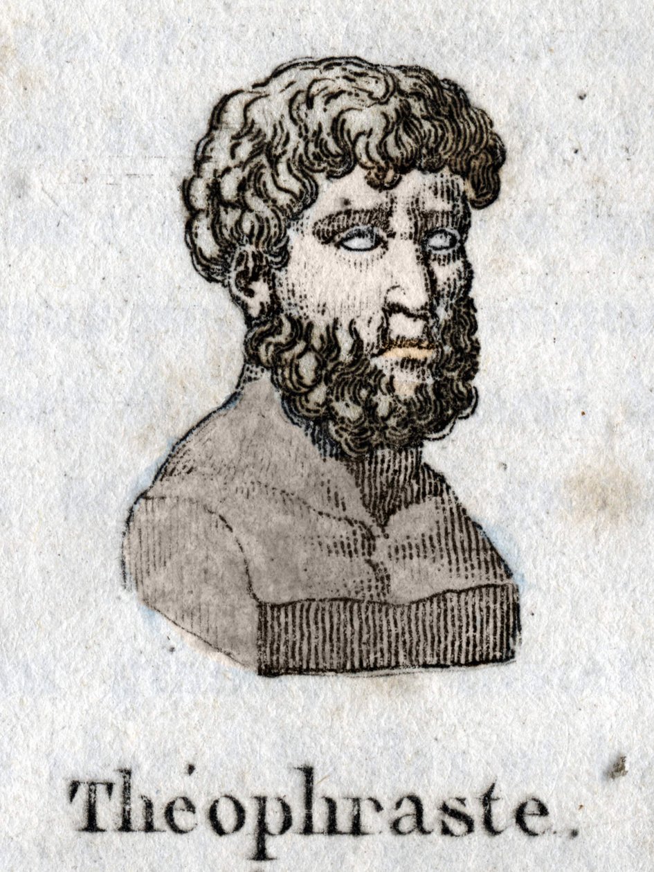 Portret van Theophrastus (372 v.Chr.- 287 v.Chr.), Griekse filosoof. door Unknown artist