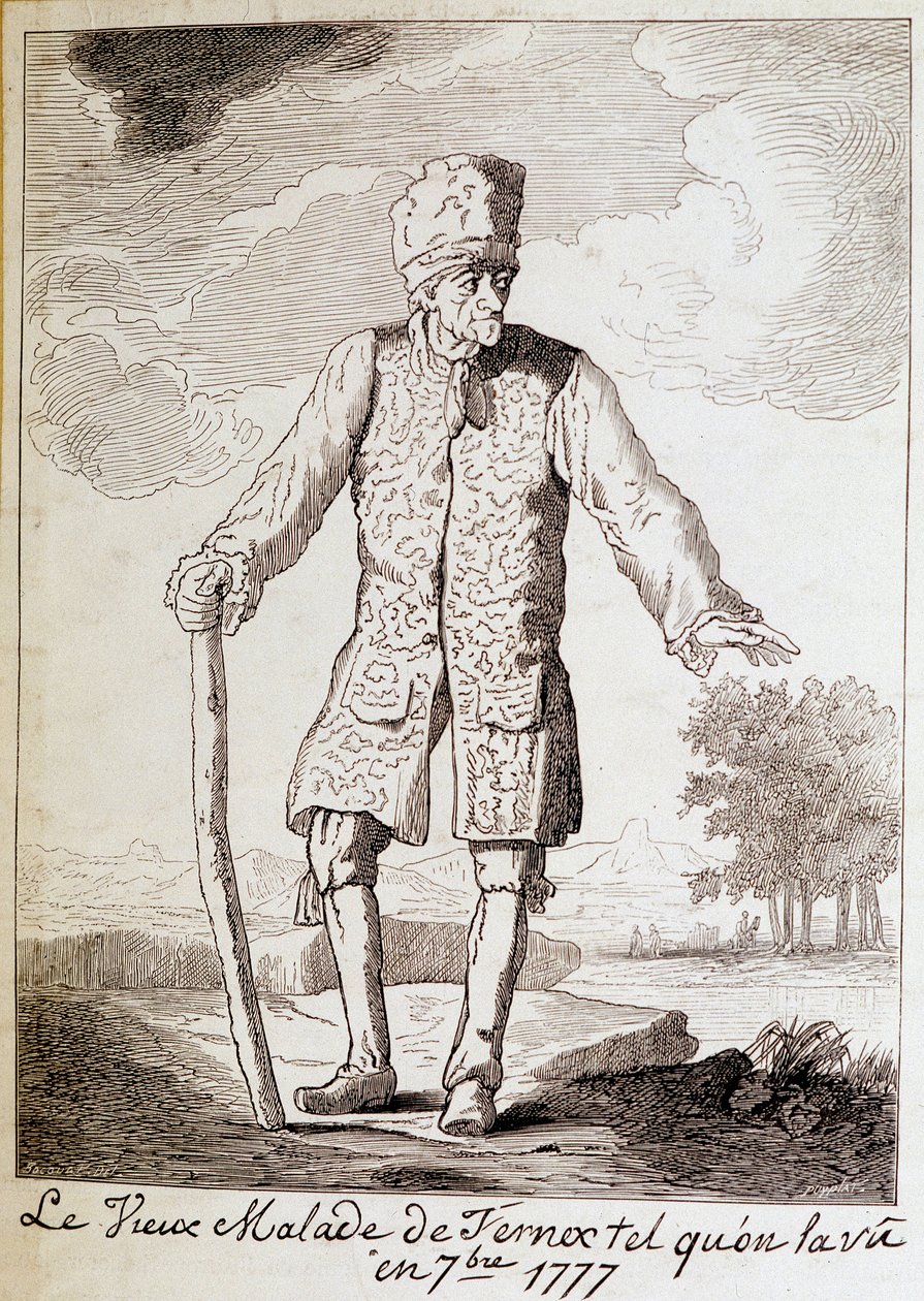Portret van Voltaire (1694-1778), Franse schrijver en filosoof, op oudere leeftijd door Unknown artist