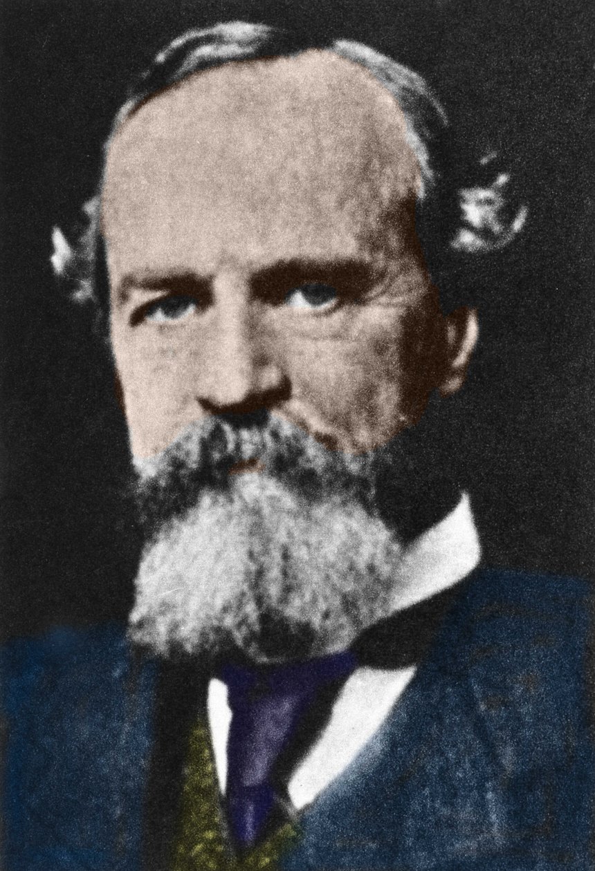 Portret van William James (1842-1910), Amerikaanse pragmatische filosoof. door Unknown artist
