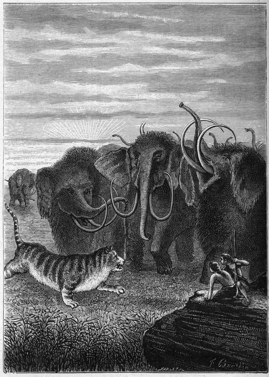 Prehistorie: Mammoeten en reuzenkatten in grotten. Gravure uit "Parijs voor de geschiedenis" door Elie Berthet door Unknown artist