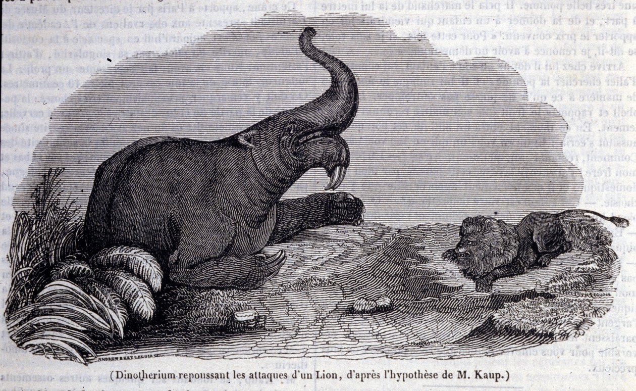 Prehistorie: voorstelling van een Dinotherium, een soort pachyderm, die een leeuwaanval afweert. Gravure uit de 19e eeuw door Unknown artist