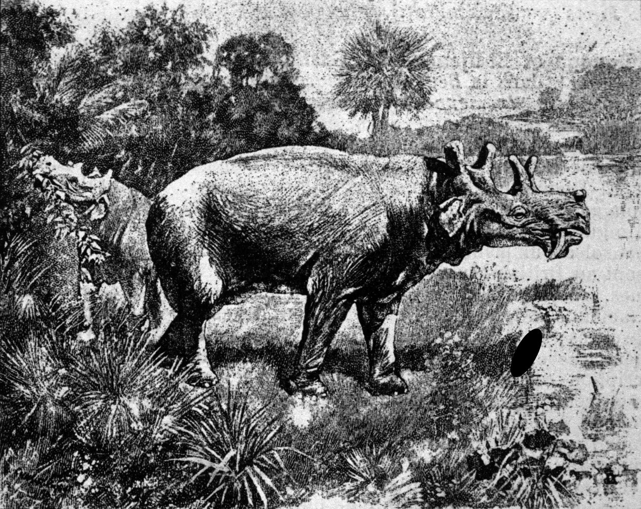 Prehistorie: voorstelling van een vierhoornige Uintatherium dinosaurus. door Unknown artist