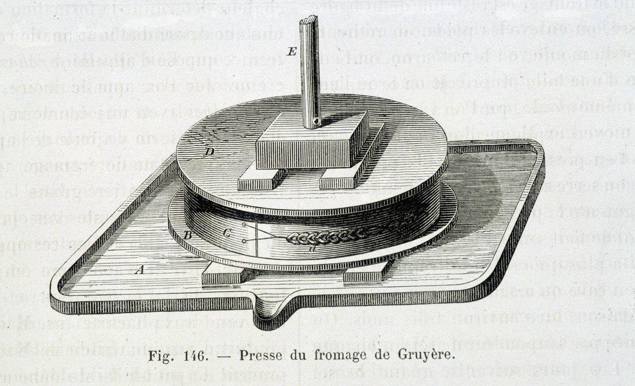 Presse à gruyère - in 