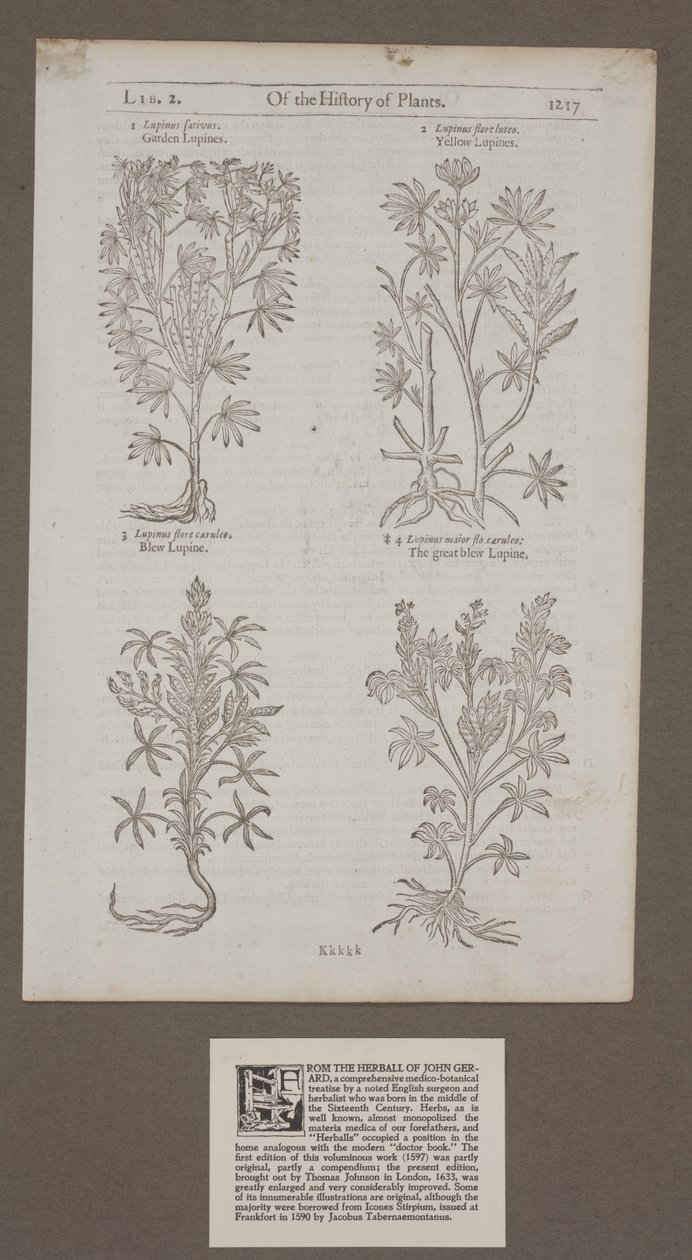 Gedrukte pagina 1217 uit 
