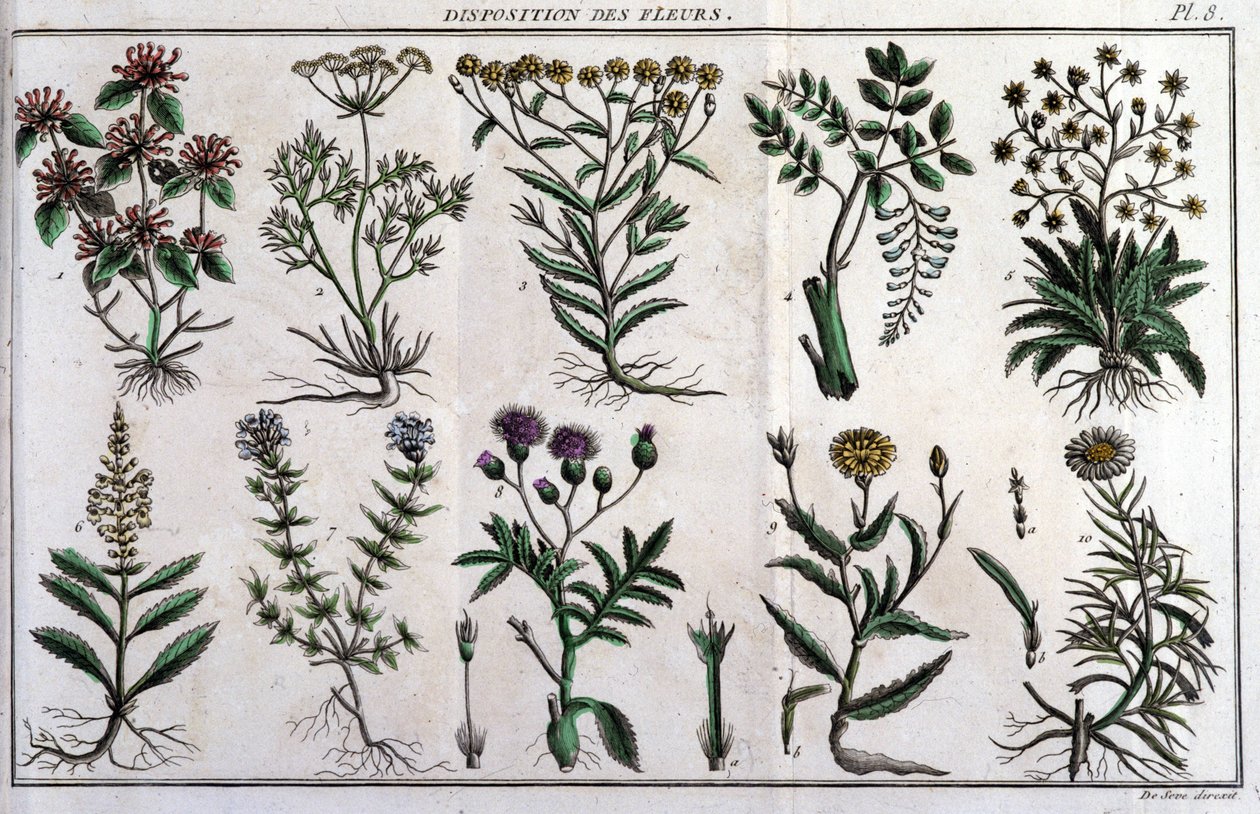 Voorraden van bloemen: in 