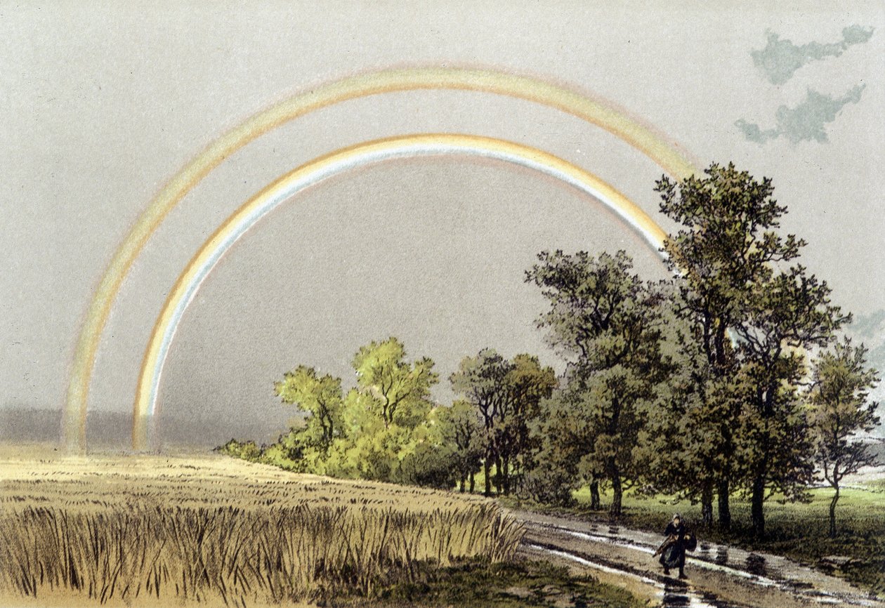 Regenboog - in 