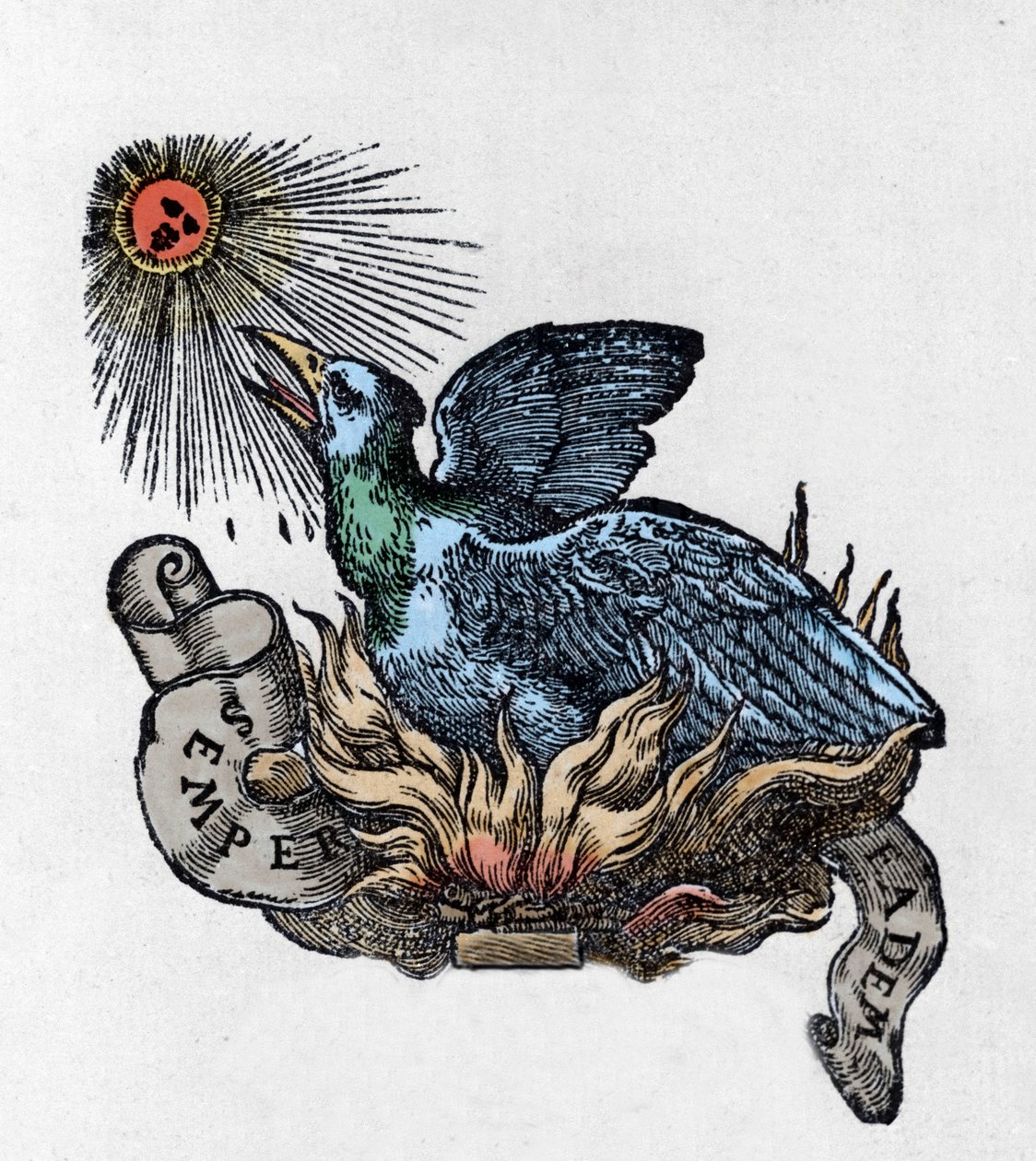 Voorstelling van een Feniks (of phoenix), legendarische vogel, herboren uit zijn as. Gravure van de 19e eeuw door Unknown artist