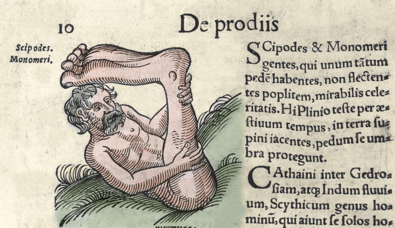 Voorstelling van een Sciapod-monster Gravure uit 