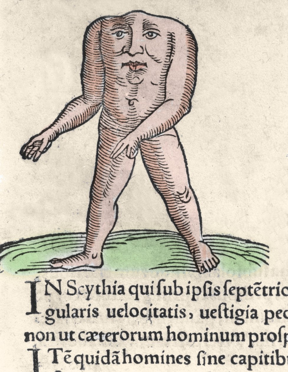 Voorstelling van een lid van de Blemmyi-stam in Nubië, beschreven zonder hoofd, zonder nek, en gezicht op de romp door Plinius de Oudere. Gravure uit “Prodigiorum ac ostentorum chronicon” door Conrad Lycosthenes (1518-1561). 1557. door Unknown artist