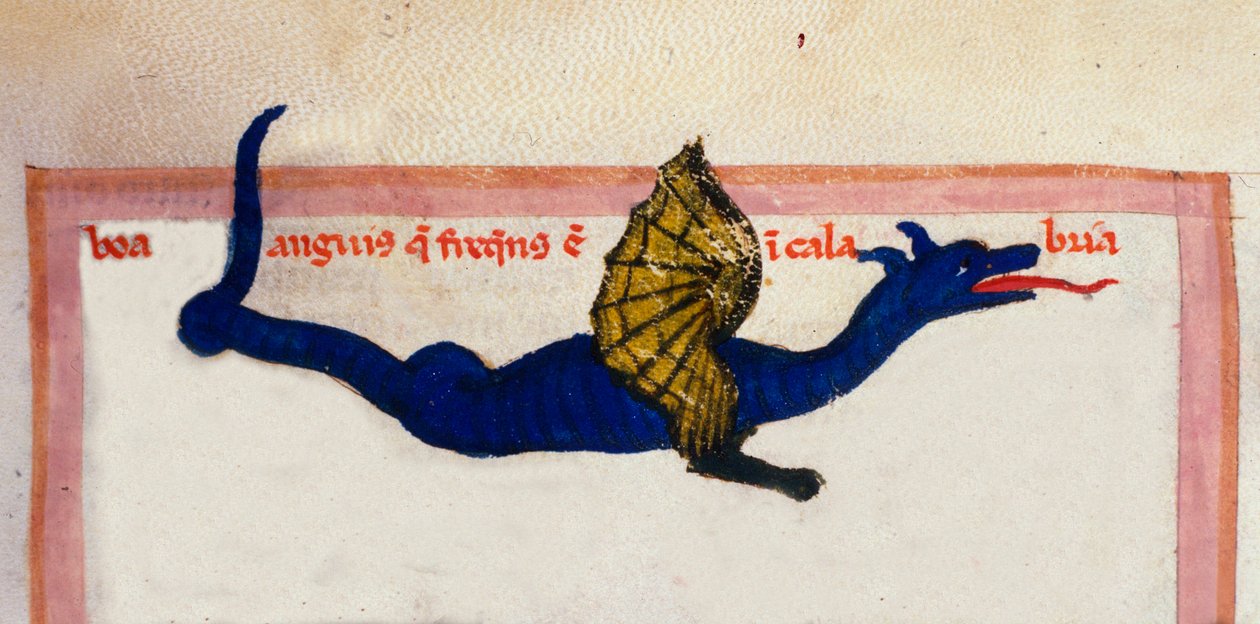 Voorstelling van een miniatuurvleugeldraak uit 