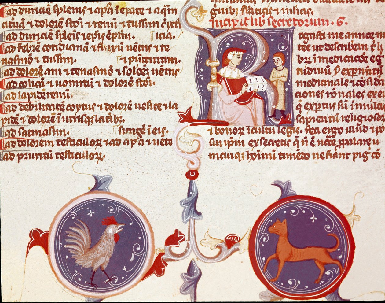 Afbeelding van een haan en een kat, bovenaan twee personages, waarschijnlijk de vertaler die zijn werk aan de dokter presenteert (miniatuur) door Unknown artist