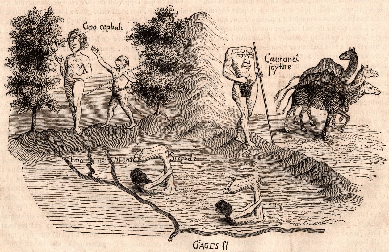 Voorstelling van middeleeuwse stammen en diersoorten: Monocules, Blemmys, Sciopodes en kamelen door Unknown artist