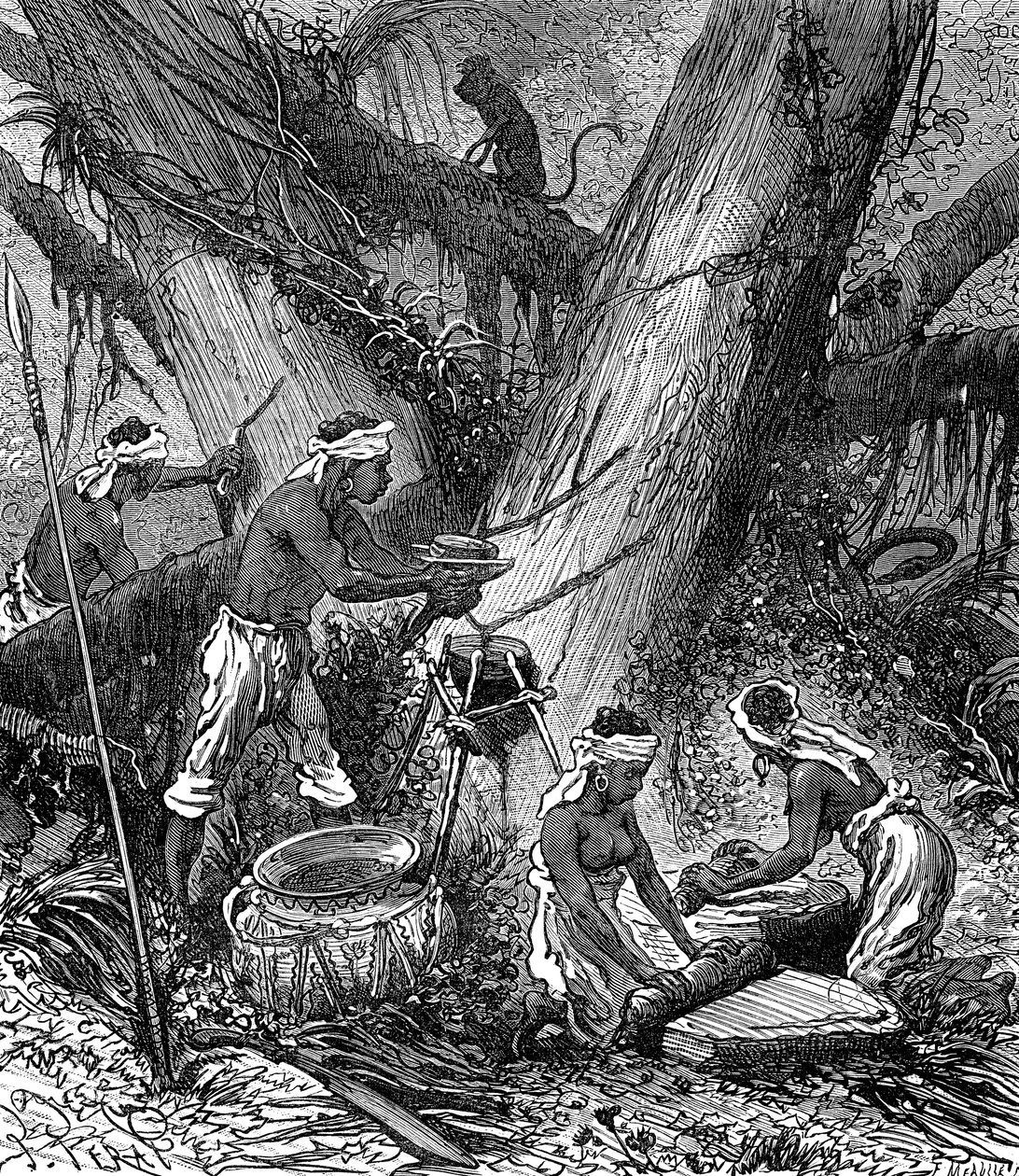 Rubberoogst in Maleisië Bos (gravure door Unknown Artist