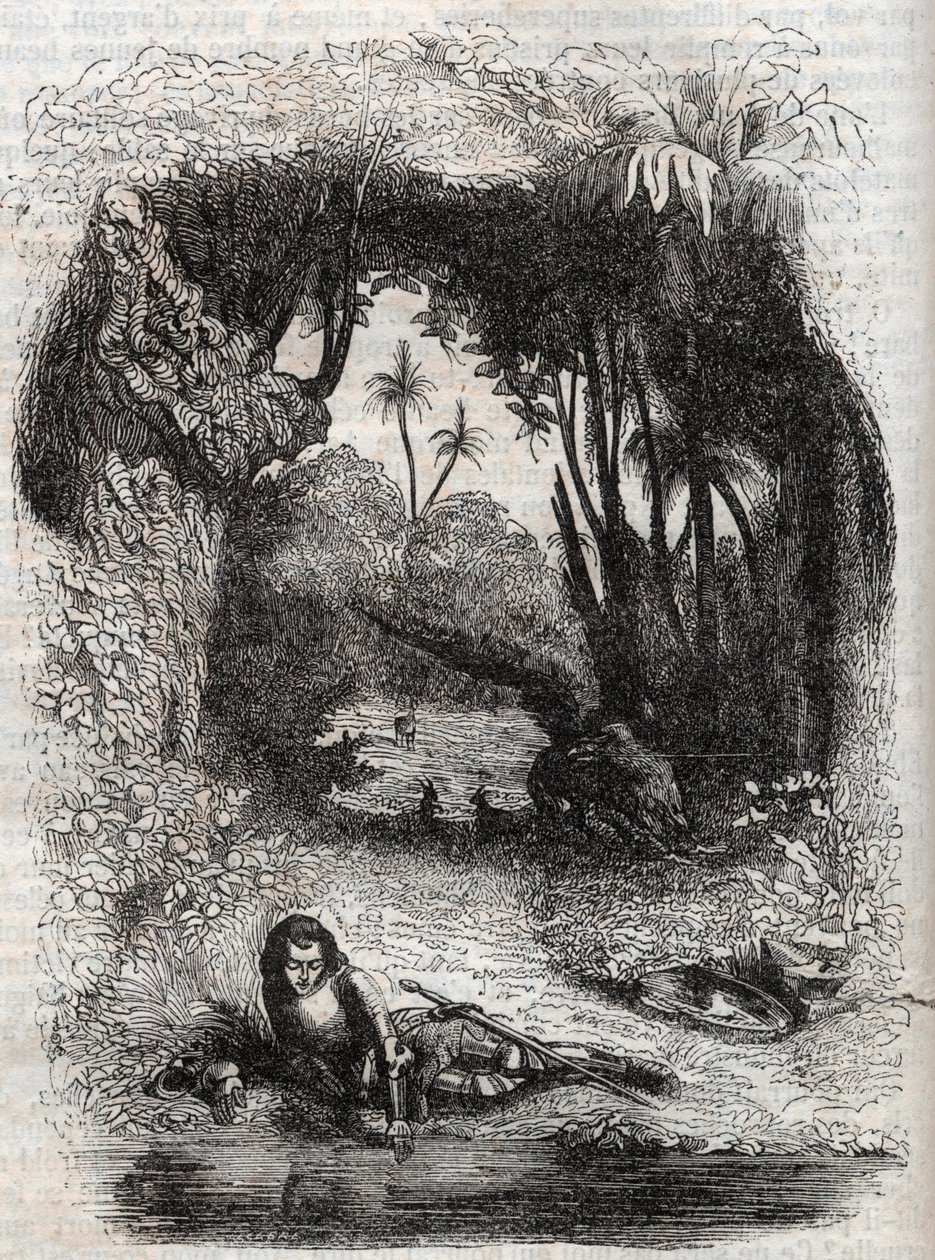 Ruggiero op het eiland van Alcina, - 1851 gravure uit het gedicht Orlando furioso (1516) door Ludovico Ariosto, - Editie vertaald uit het Italiaans door de Graaf van Tressan en uitgegeven door Gustave Harvard 1851 door Unknown artist