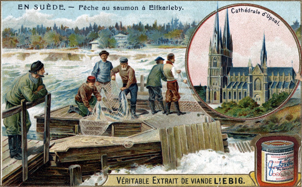 Zalmvissen in Elfkarleby, Zweden. Chromolithografie, Liebig afbeelding door Unknown artist