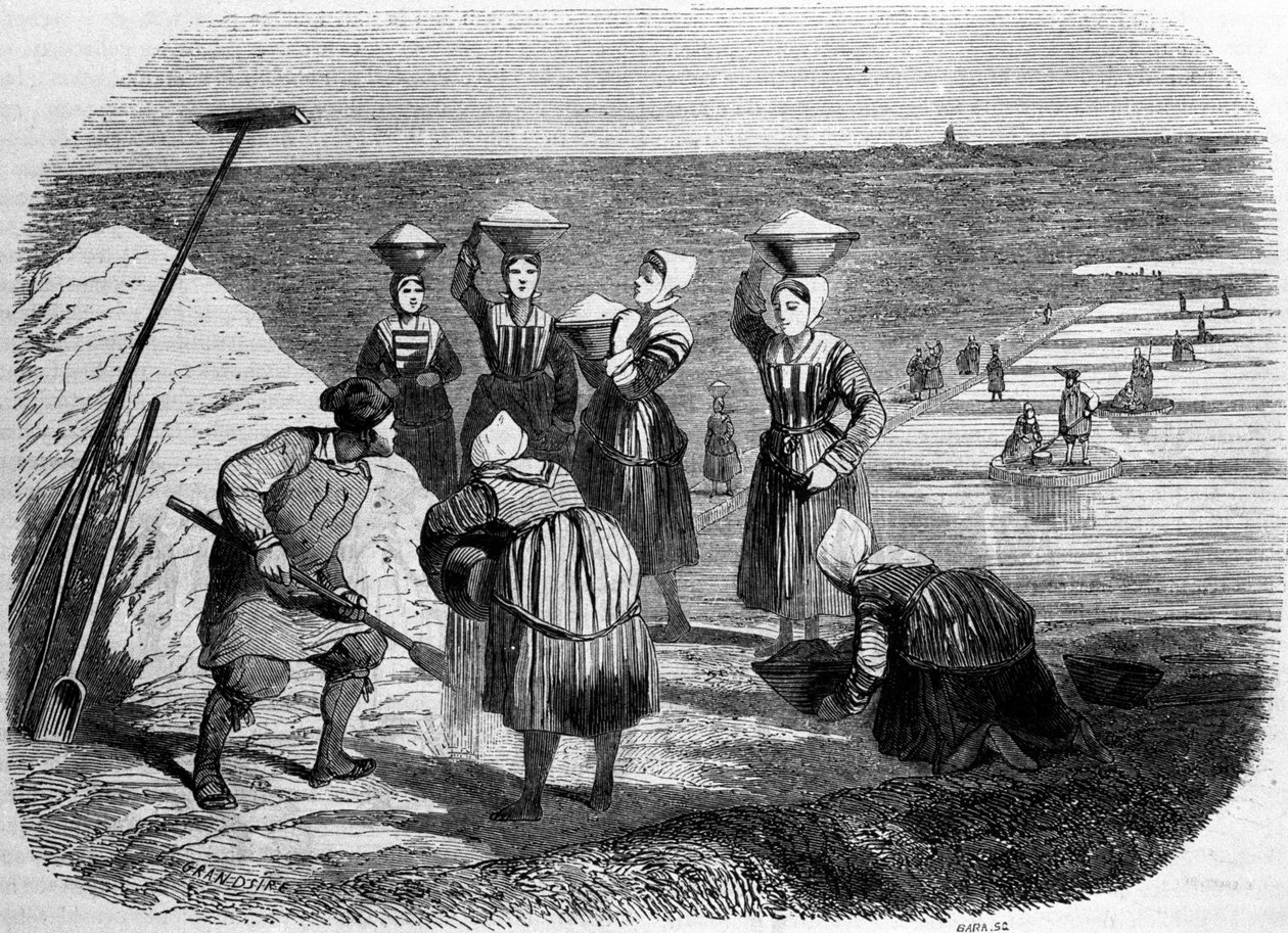 Zoutproductie: vrouwen werken in zoutmoerassen. Gravure uit de 19e eeuw door Unknown artist