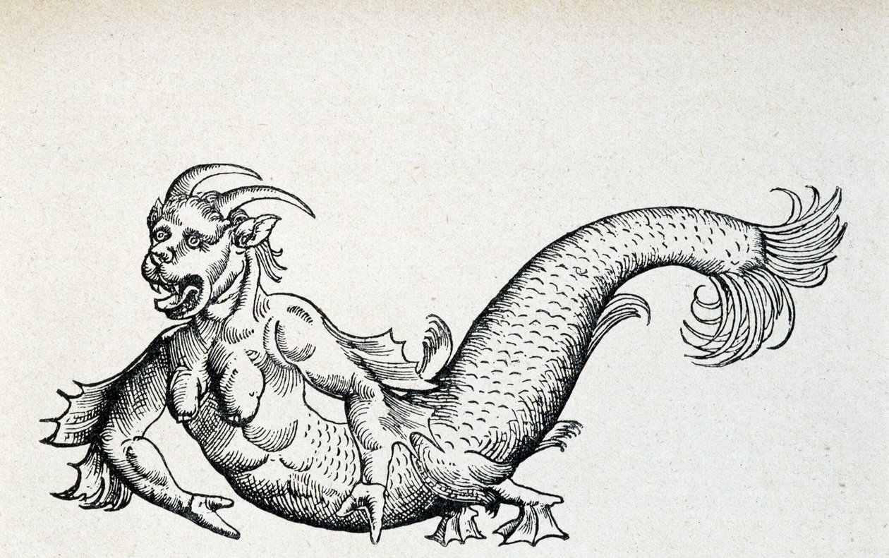 Zeeduivel, zogenaamd gevangen in de Adriatische Zee aan het begin van de 15e eeuw - volgens Gesner door Unknown artist