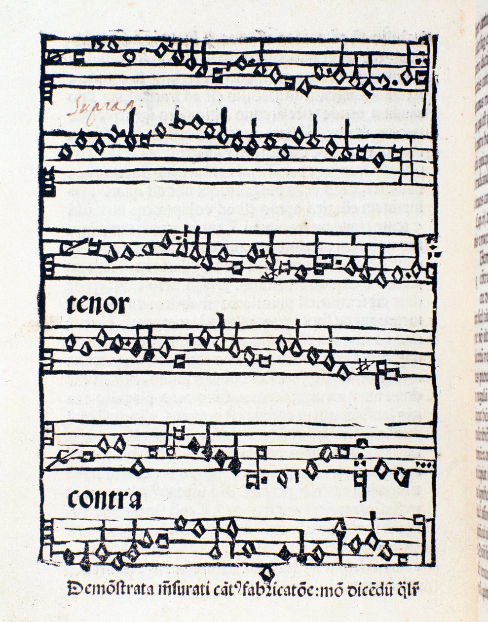 Bladmuziekpagina voor Musicologische studies en documenten door Nicola Burzio door Unknown artist