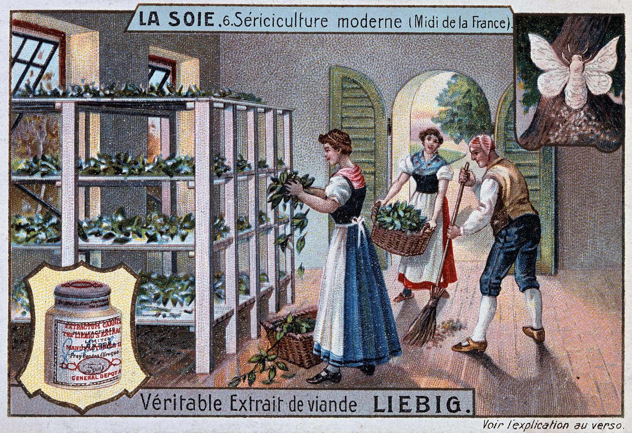 Zijde: zijdefabriek in het zuiden van Frankrijk, Liebig reclame, ca. 1895 door Unknown artist