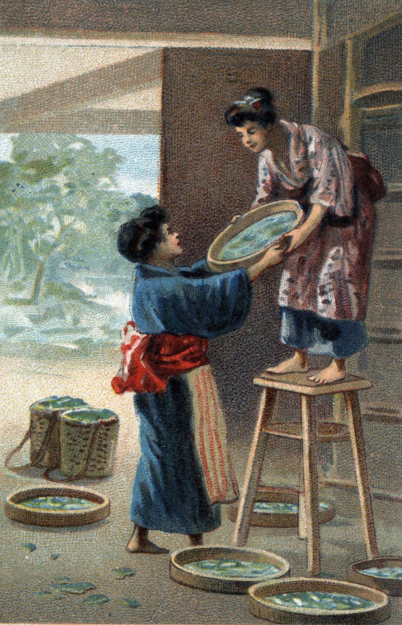 Zijderupskweek in een Japanse magneet. Chromolithografie van het einde van de 19e eeuw door Unknown artist