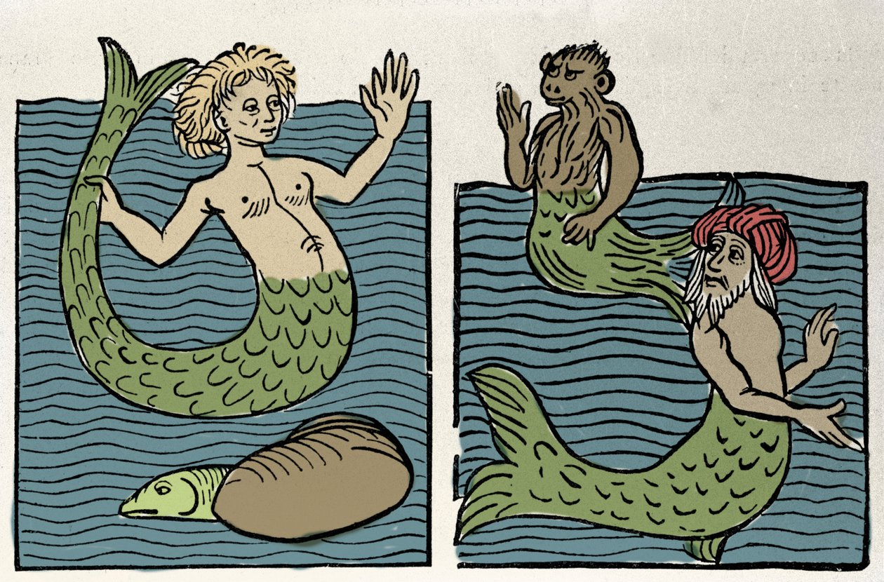 Sirene of Maagd van de Zee, Aap en Zee Turk door Unknown artist