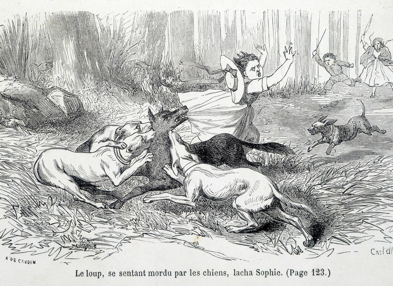 Sophie en de wolf - in De tegenslagen van Sophie door de Gravin van Ségur, Hachette door Unknown artist