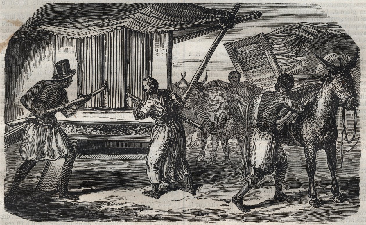 Suikerproductie: een suikerrietmolen in een suikerfabriek in West-Indië. Gravure uit 1859 door Unknown artist
